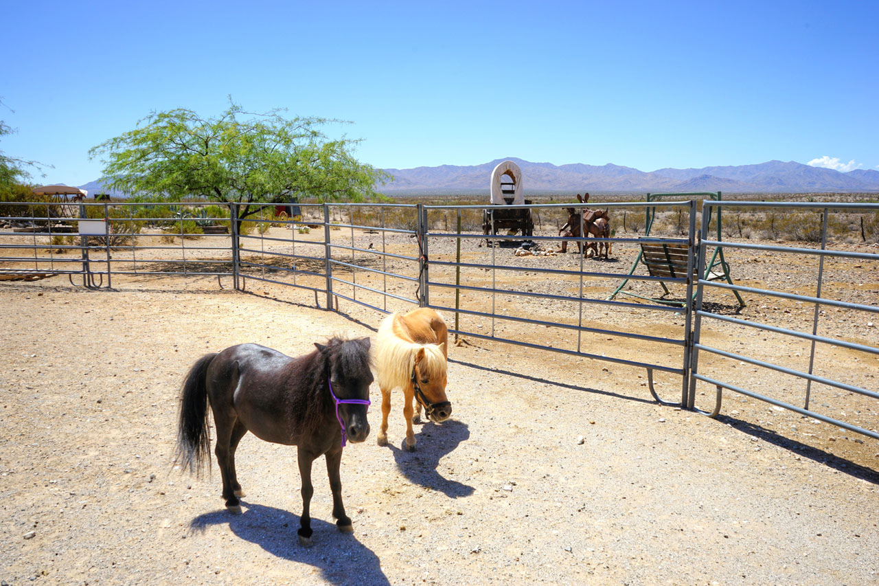 Arizona all-inclusive dude ranch Stagecoach Trails Guest Ranch