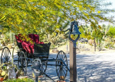 Antique Doctors wagon