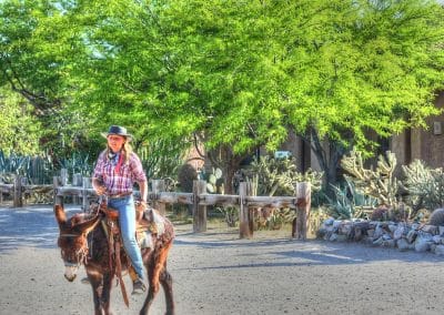 Girl riding donkey