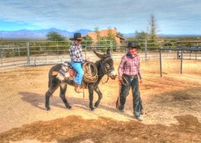 Child riding donkey