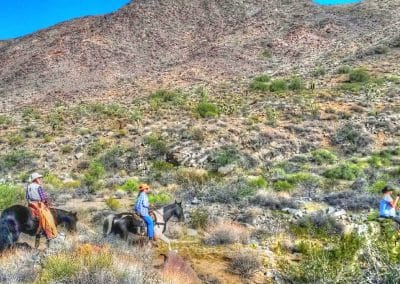 Horseback ride in mountains