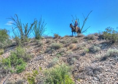 Cowgirl up hill