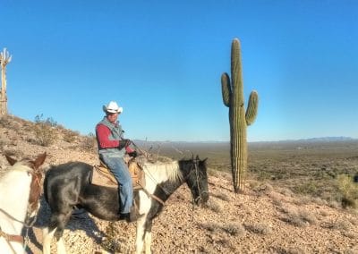 Wrangler riding near sagaro cactus