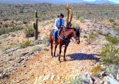 Child riding horse