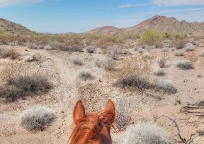 Horse riding