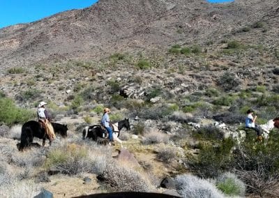 Horseback ride in mountains