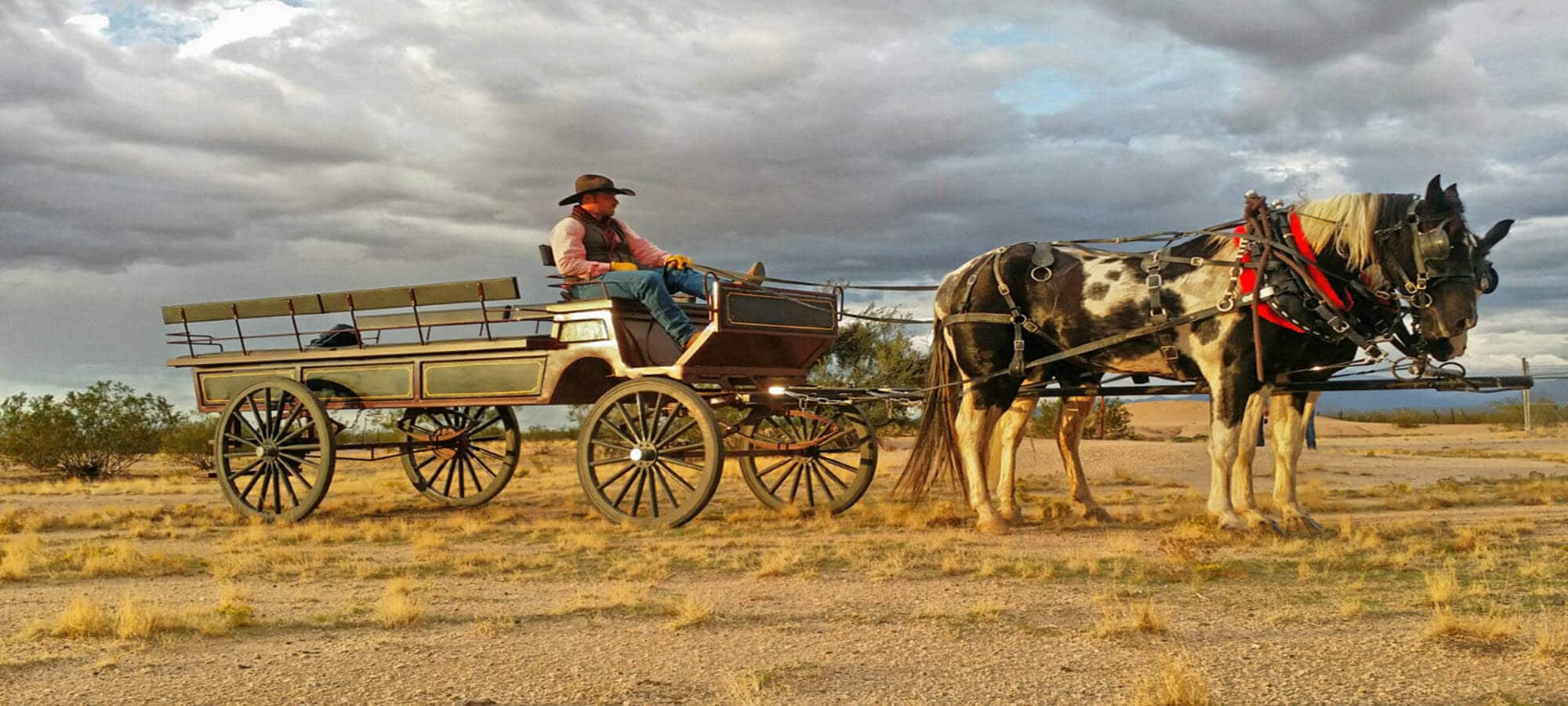 Wrangler driving wagon
