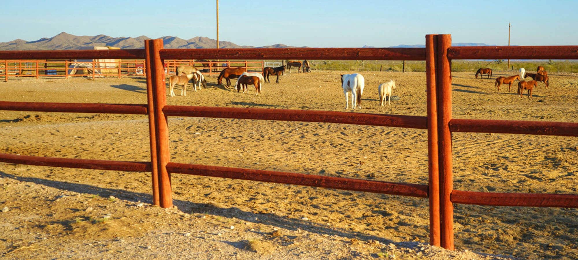 Horse corrals at Dude Ranch