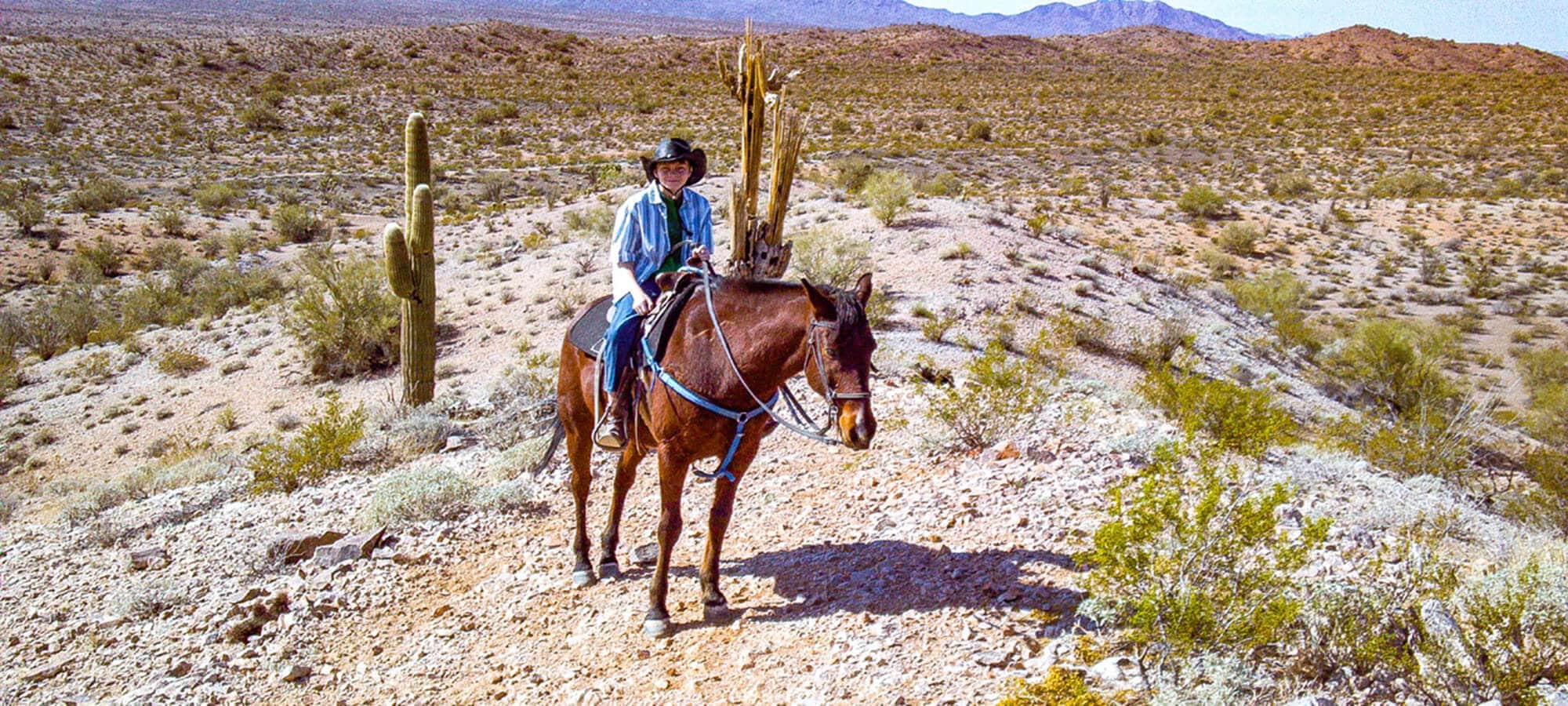 Young boy riding horse