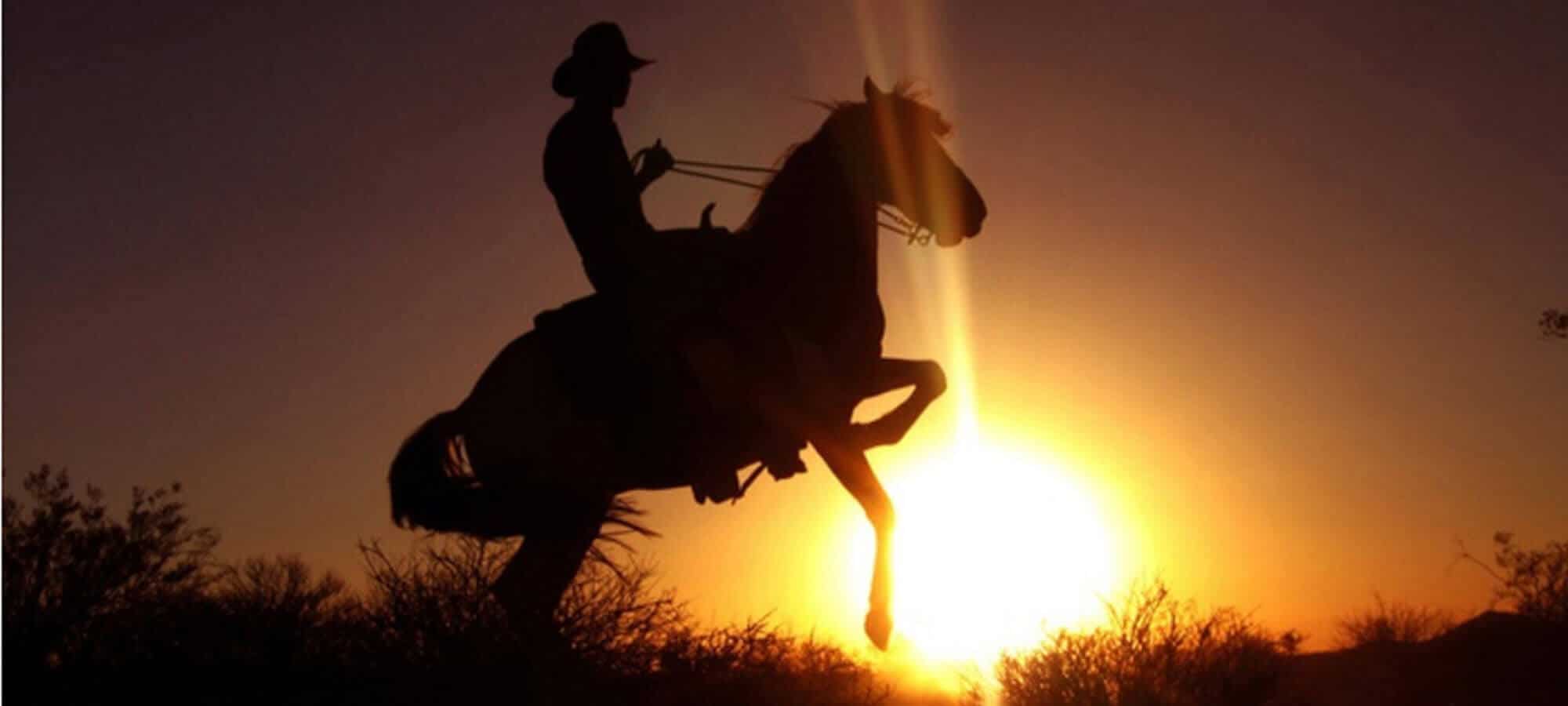Horse rider at sunset