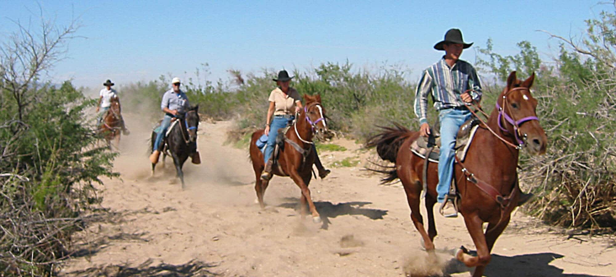 Loping at a Dude Ranch