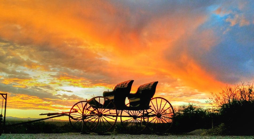 The Ranch Antique Wagon Collection