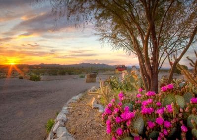 Dude Ranch garden sunset