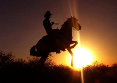 Wrangler at sunset