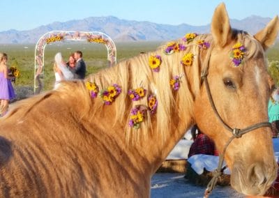 Dude Ranch Wedding