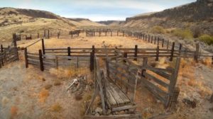 cattle corral