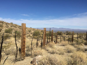 Cattle corral fence