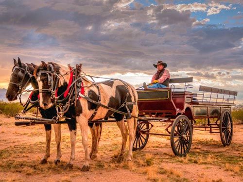 Wagon rides