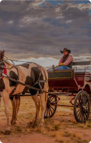 all-inclusive dude ranch wagon rides