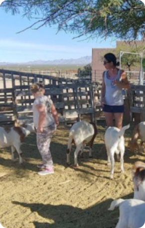 Goats at an all-inclusive dude ranch