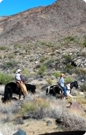Riding in the mountains in a Arizona Dude Ranch