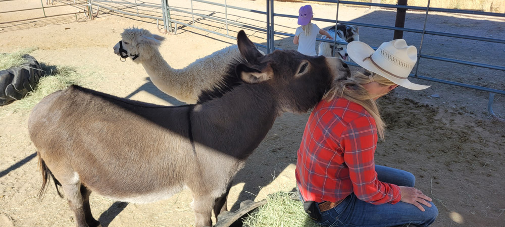 Dude Ranch petting zoo