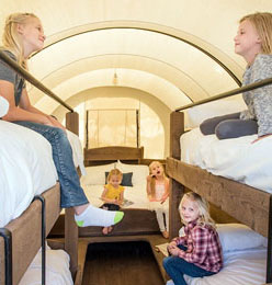 Pioneer Wagon
