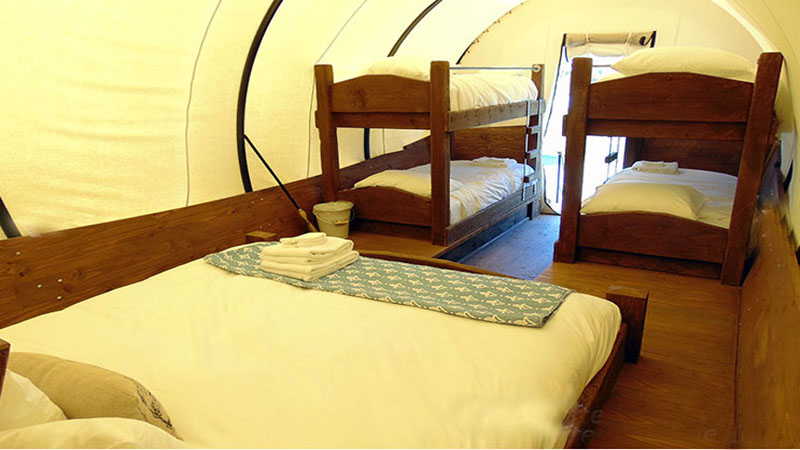 Pioneer Wagon